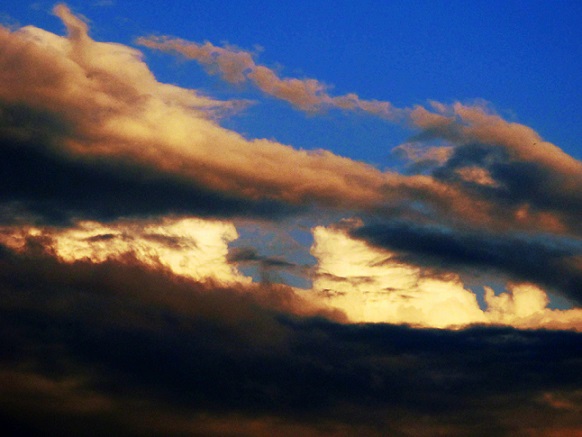 P1000549.JPG