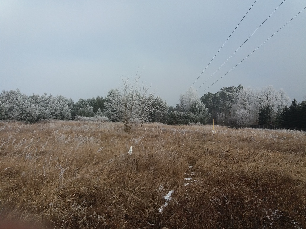 20170214_125827.jpg