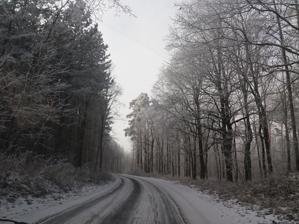 20170214_130049.jpg