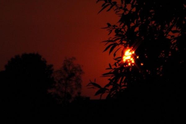 IMGA0043_1.jpg