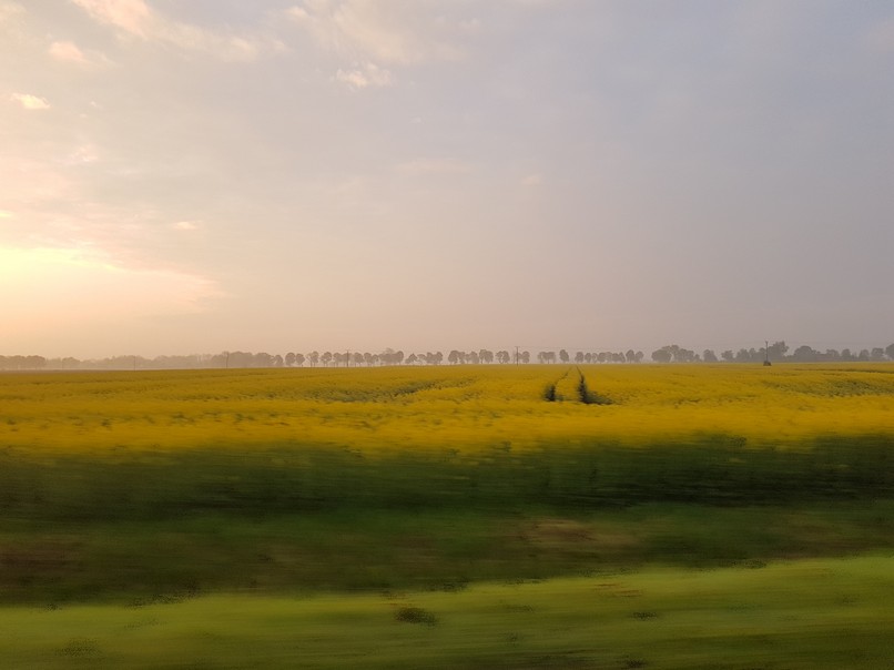20170516_050200.jpg