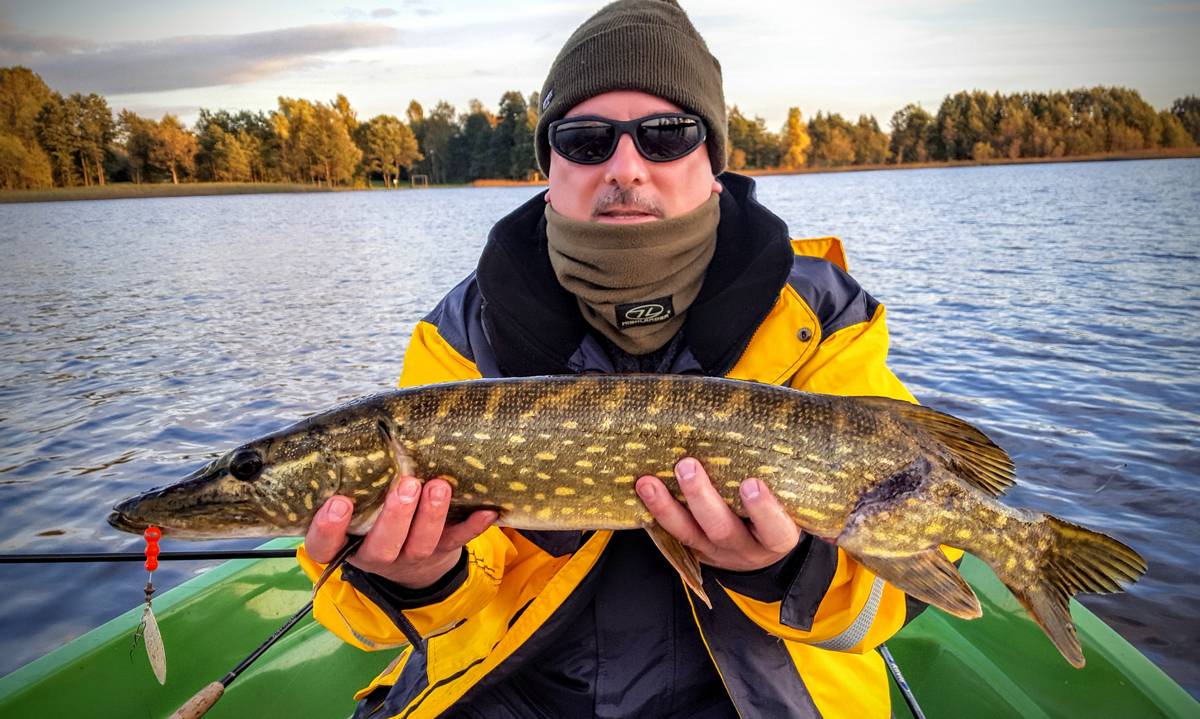 20171006_173300-esox.jpg