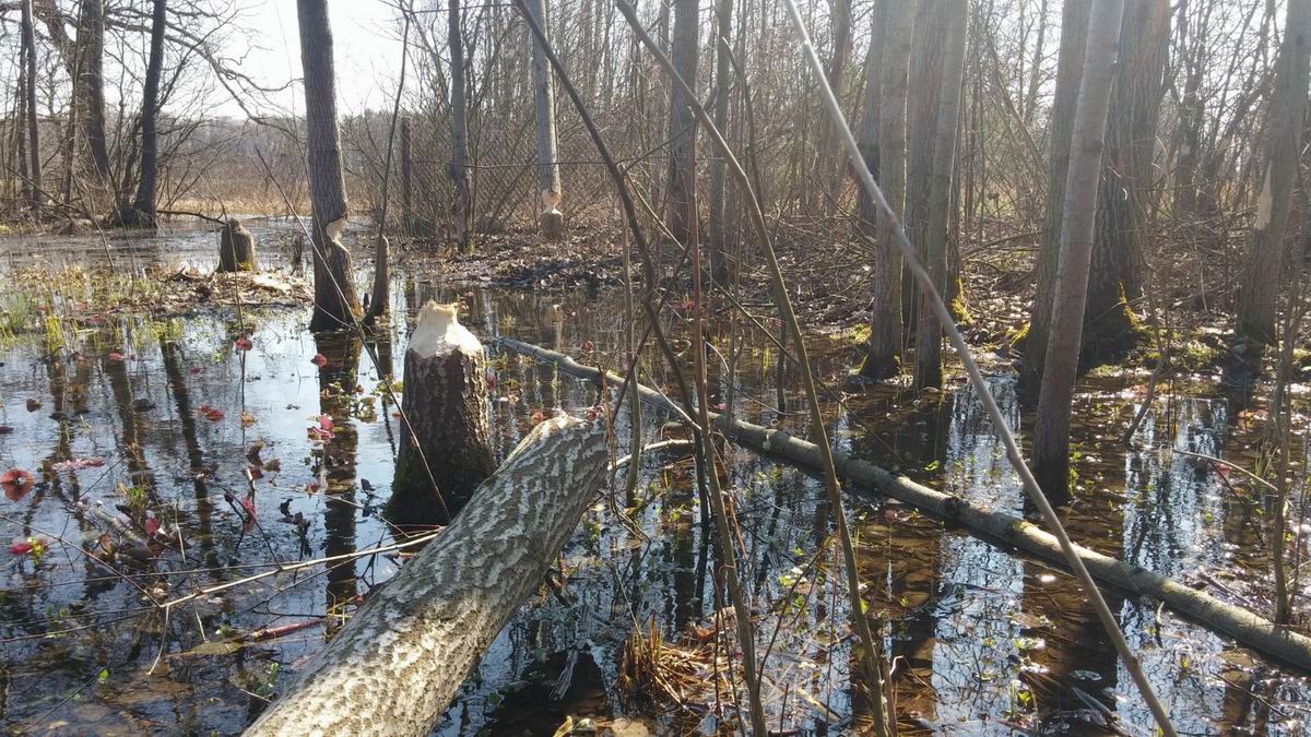 20160328_123012.jpg