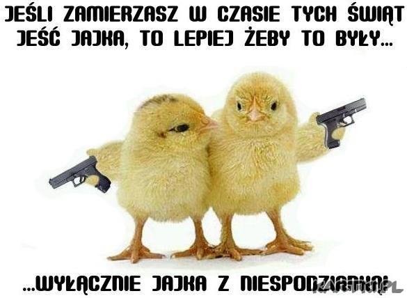 jajka nisp.jpg