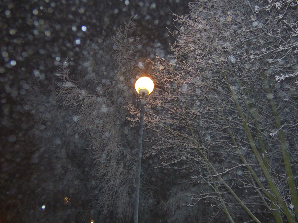 P1020280.JPG
