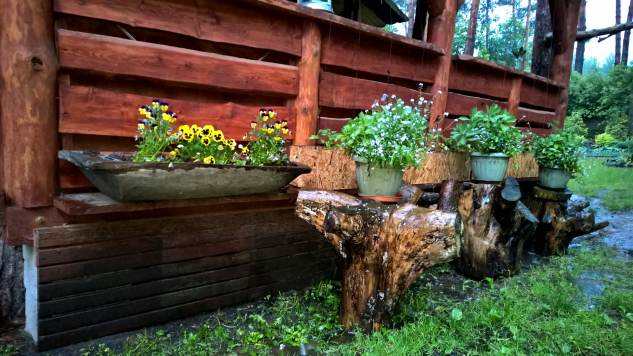 WP_20150526_19_28_07_Pro.jpg