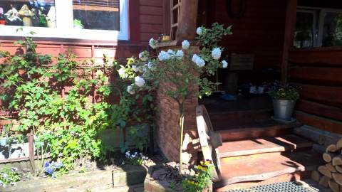 WP_20150524_16_08_03_Pro.jpg