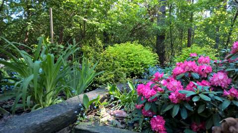 WP_20150524_16_07_25_Pro.jpg