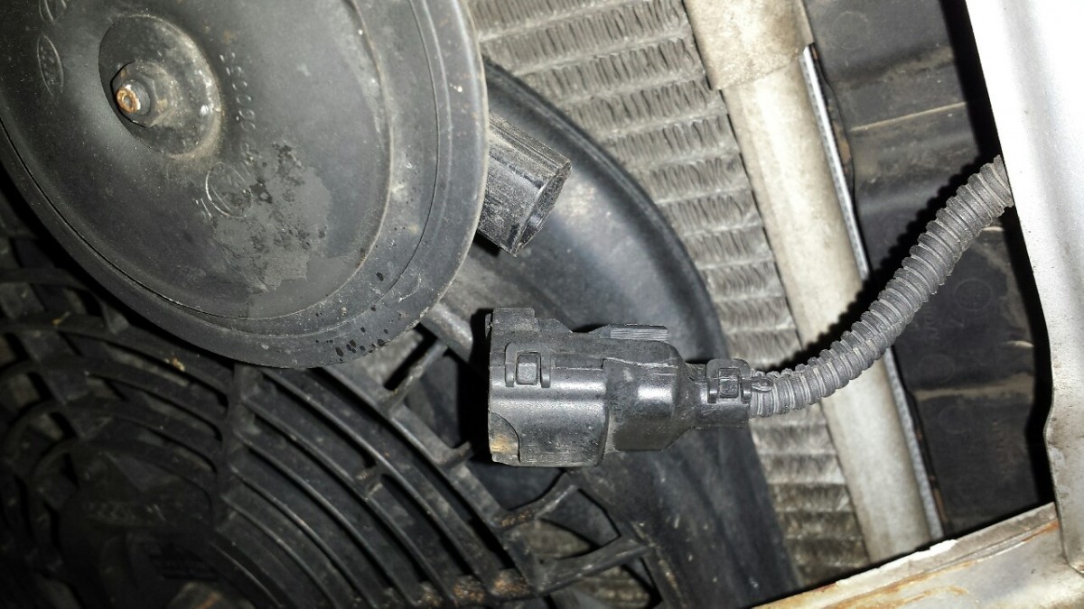 P-1280x720.jpg