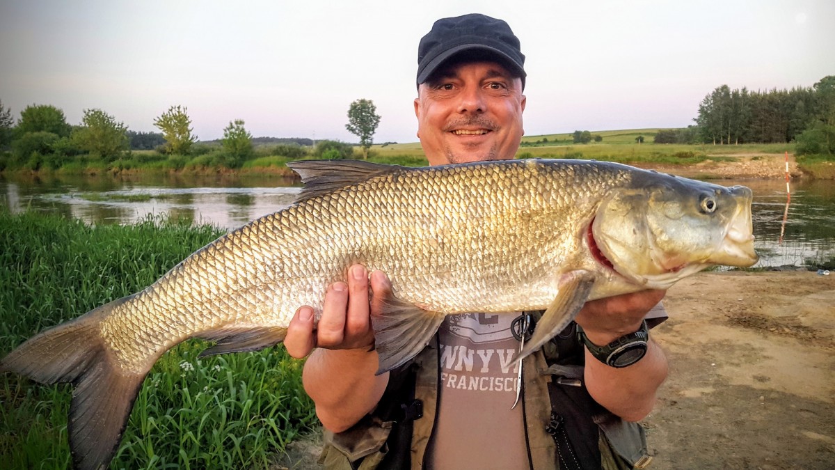 20180528_bolen2.jpg