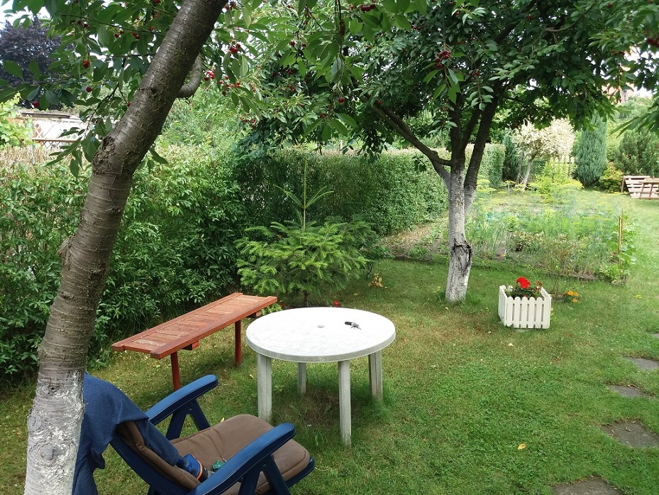 20180618_121115.jpg