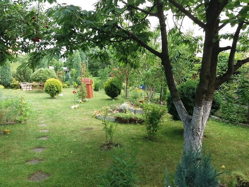 20180618_121120.jpg