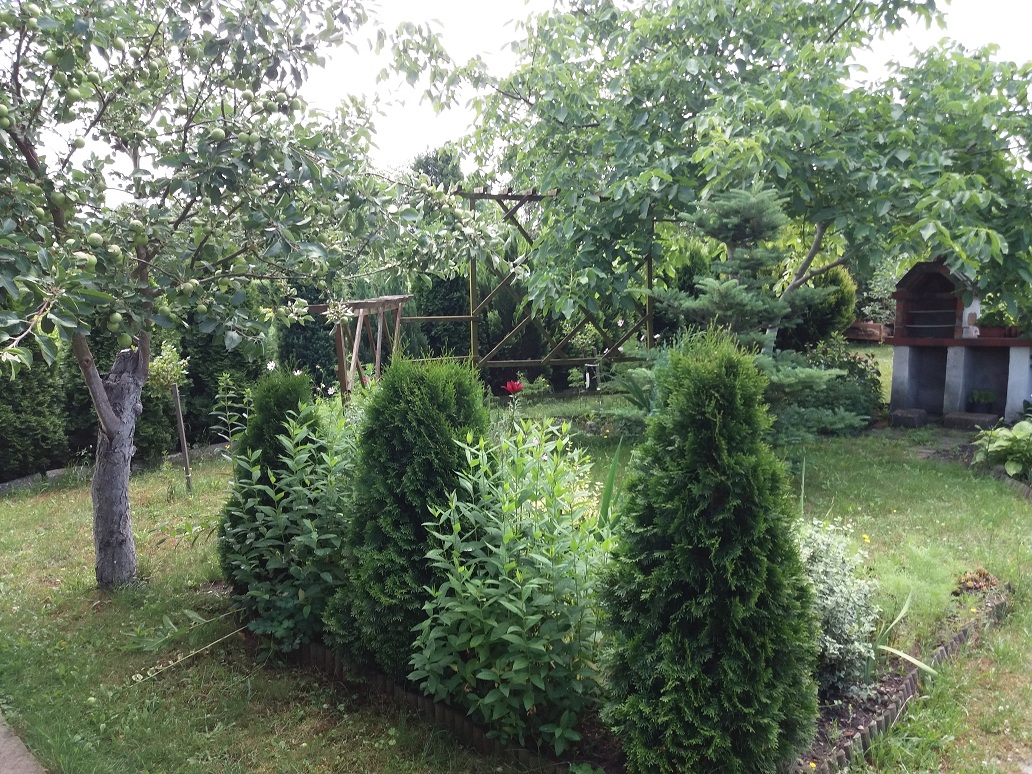 20180618_121128.jpg
