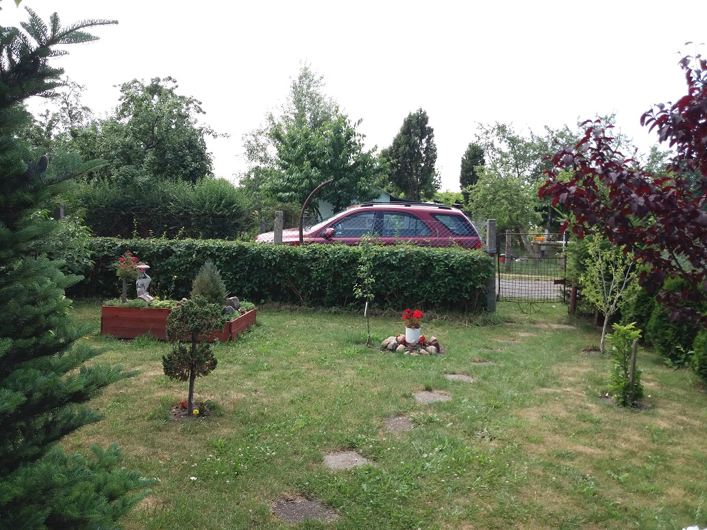 20180618_121138.jpg