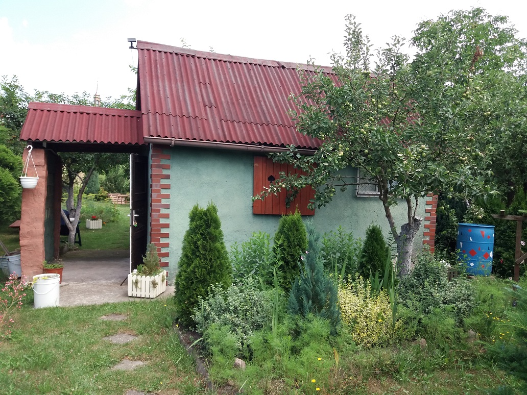 20180618_121218.jpg
