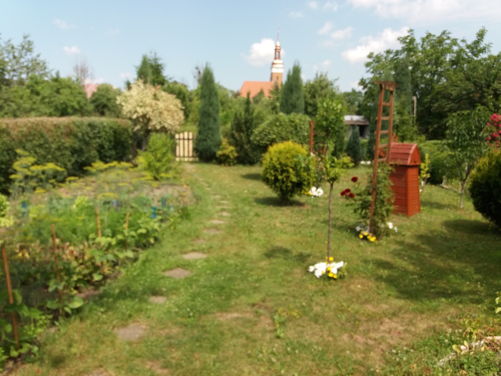 20180618_123117.jpg