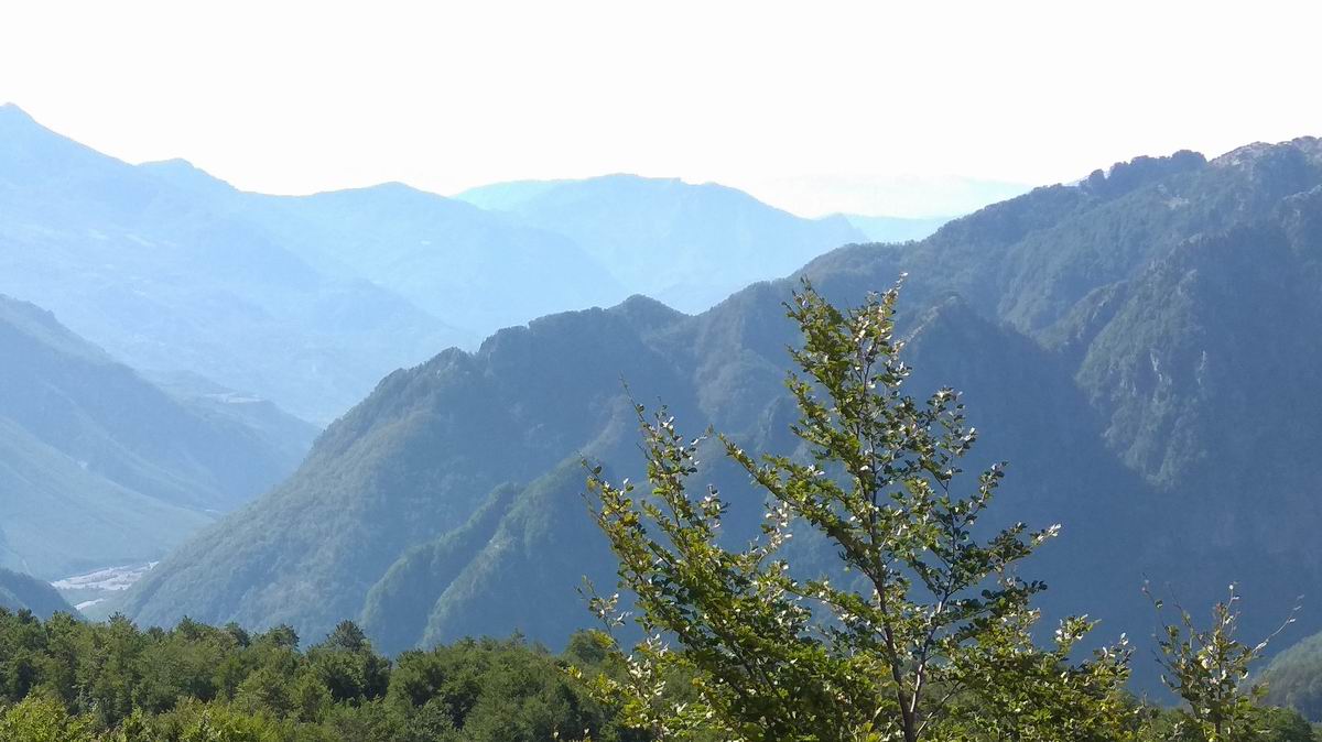 2017-08-24 09.27.56.jpg