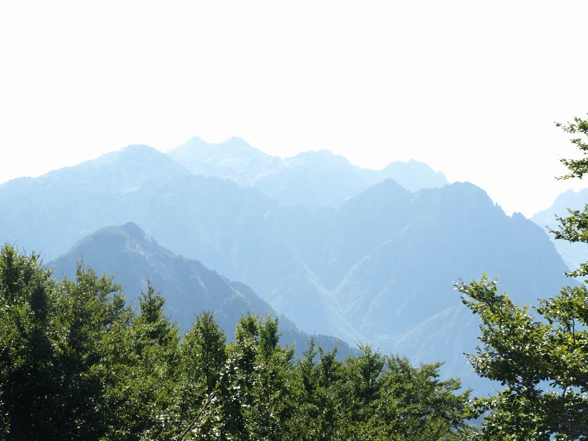 P8245604.JPG