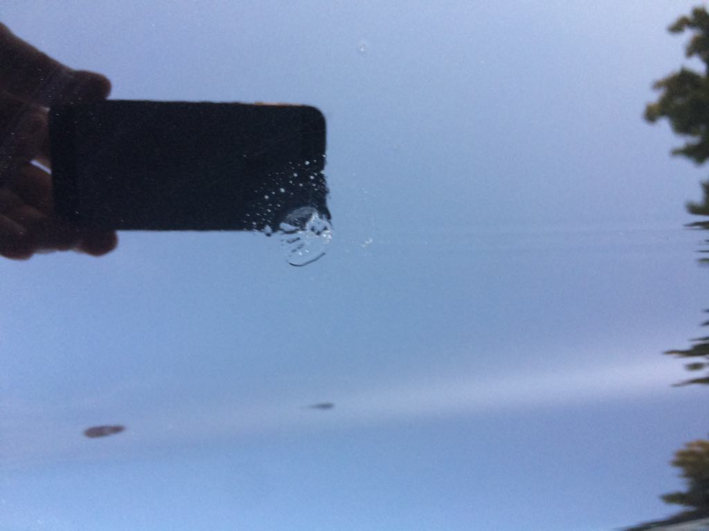 37641093_1601709176625151_186325774473625600_n.jpg