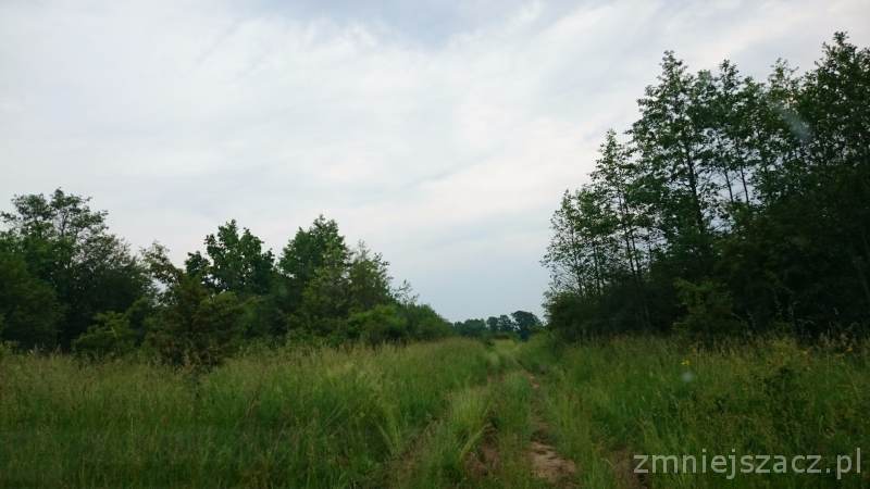 DSC_0316.JPG
