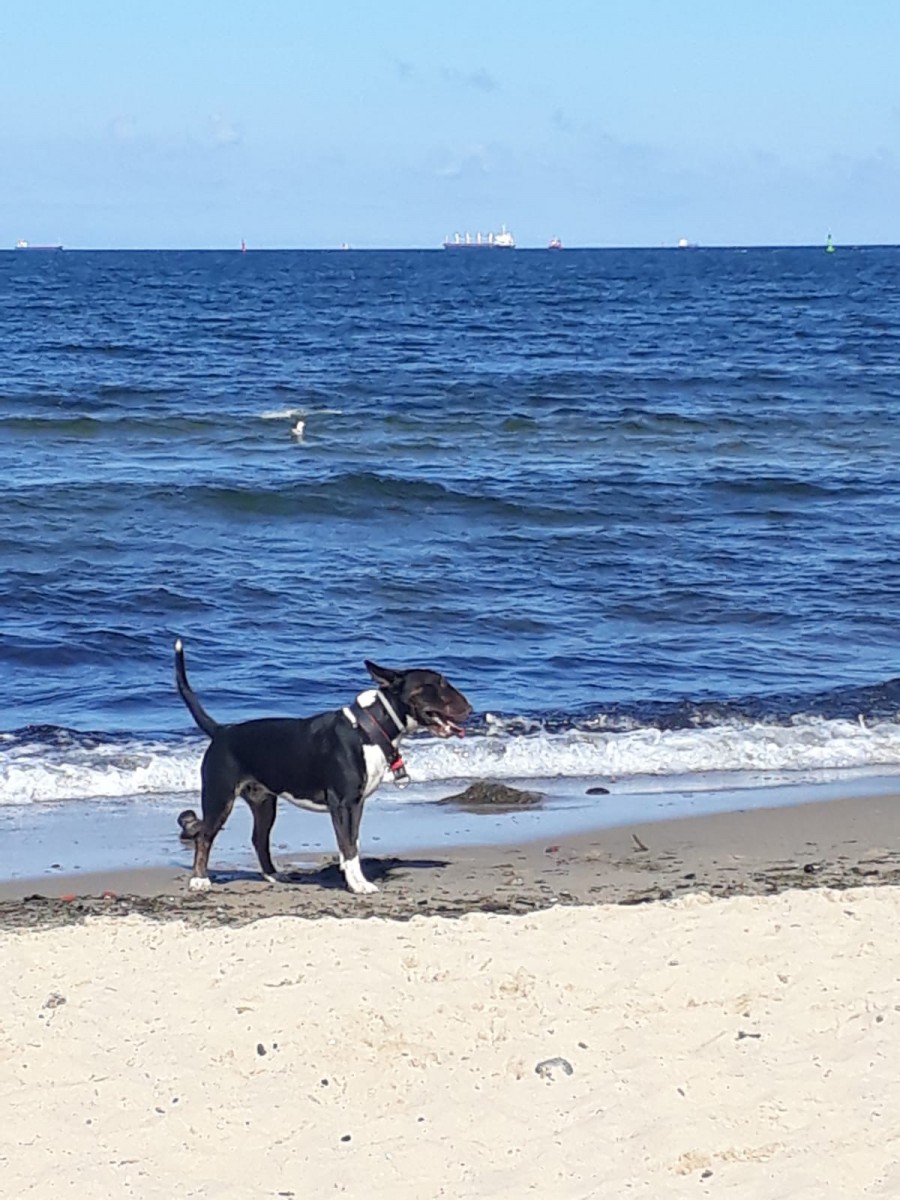 IMG-20180903-WA0000.jpg
