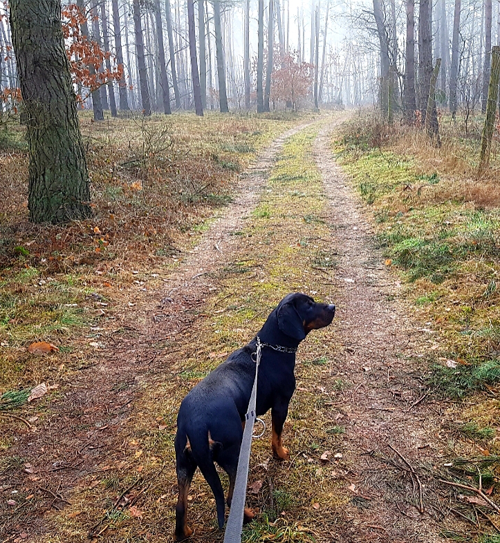 20180919_210437.jpg
