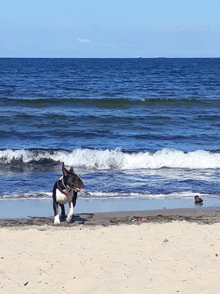 IMG-20180903-WA0005.jpg