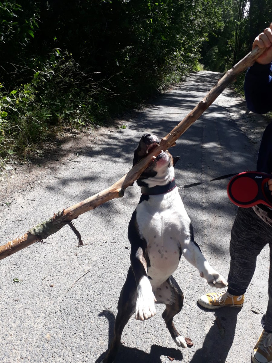 IMG-20180701-WA0005.jpg