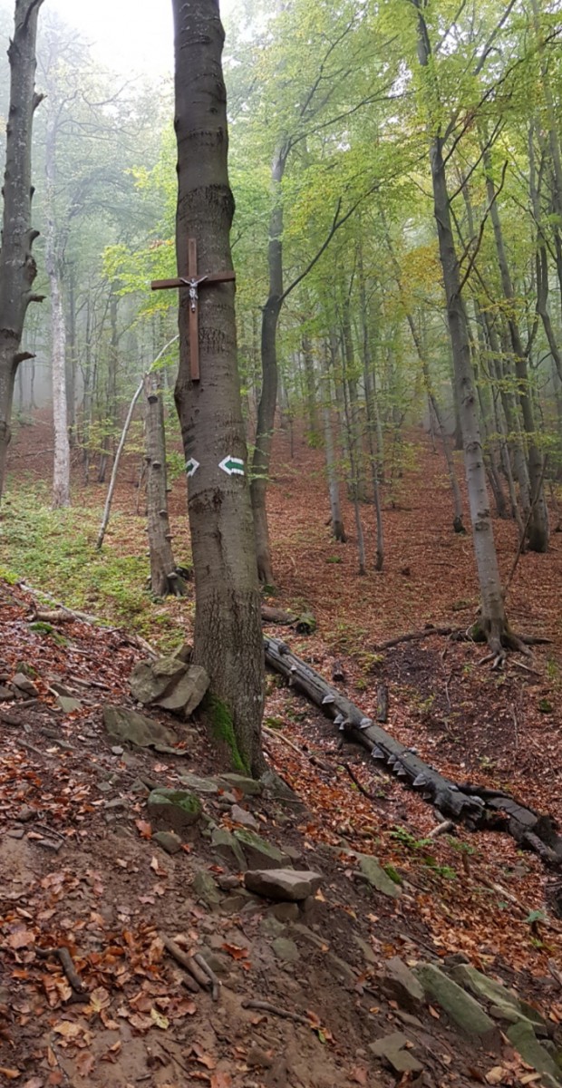 20181003_081320.jpg