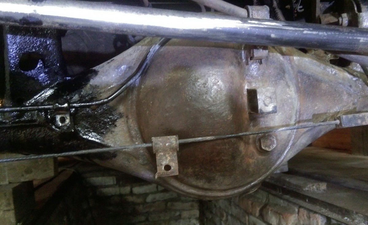 IMAG3382_1.jpg