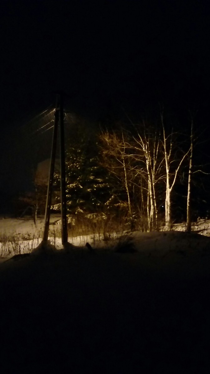20190115_183044-1024x1824.jpg