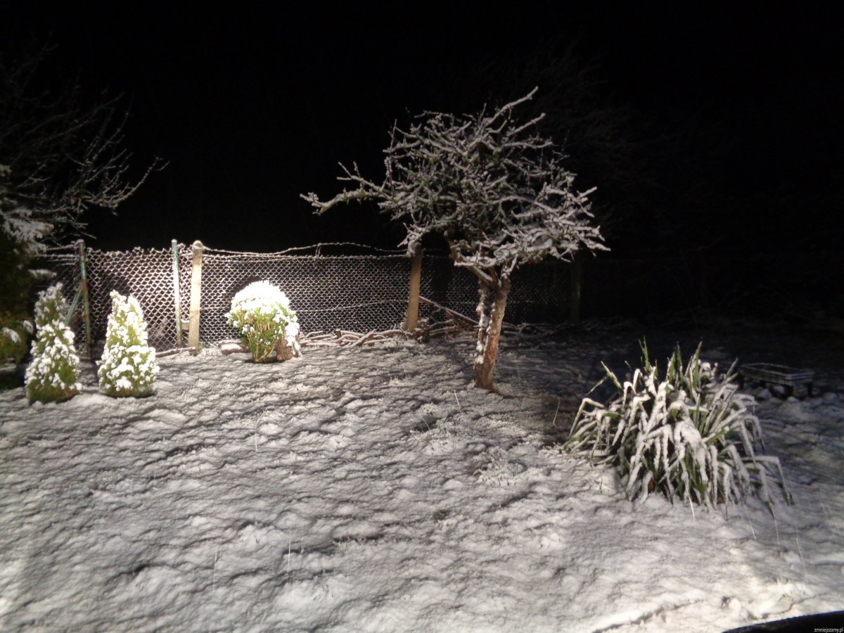 zima 2.jpg