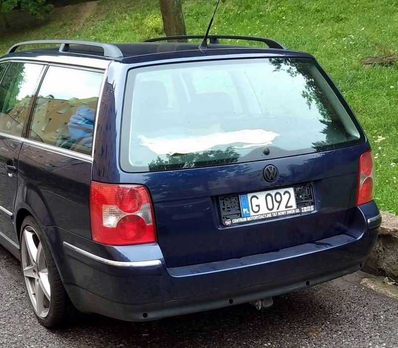 ggg.jpg