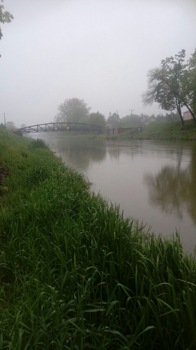 20190515_165316-1024x1824.jpg
