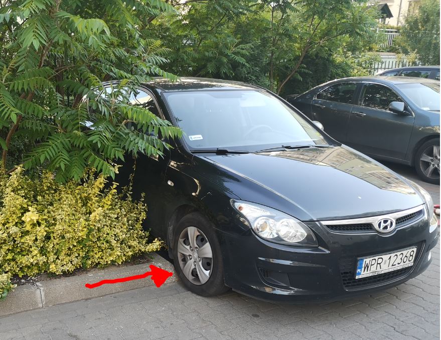 mistrz.JPG