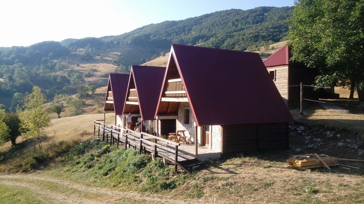 2017-08-25 08.47.36.jpg