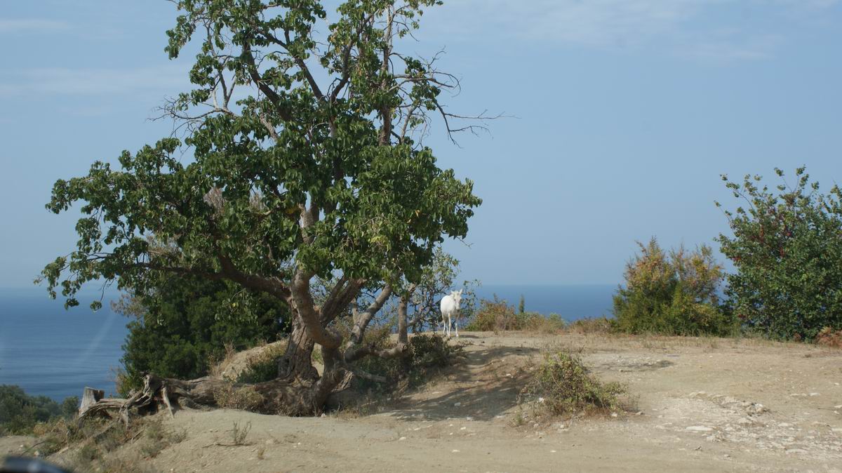 DSC00917.JPG