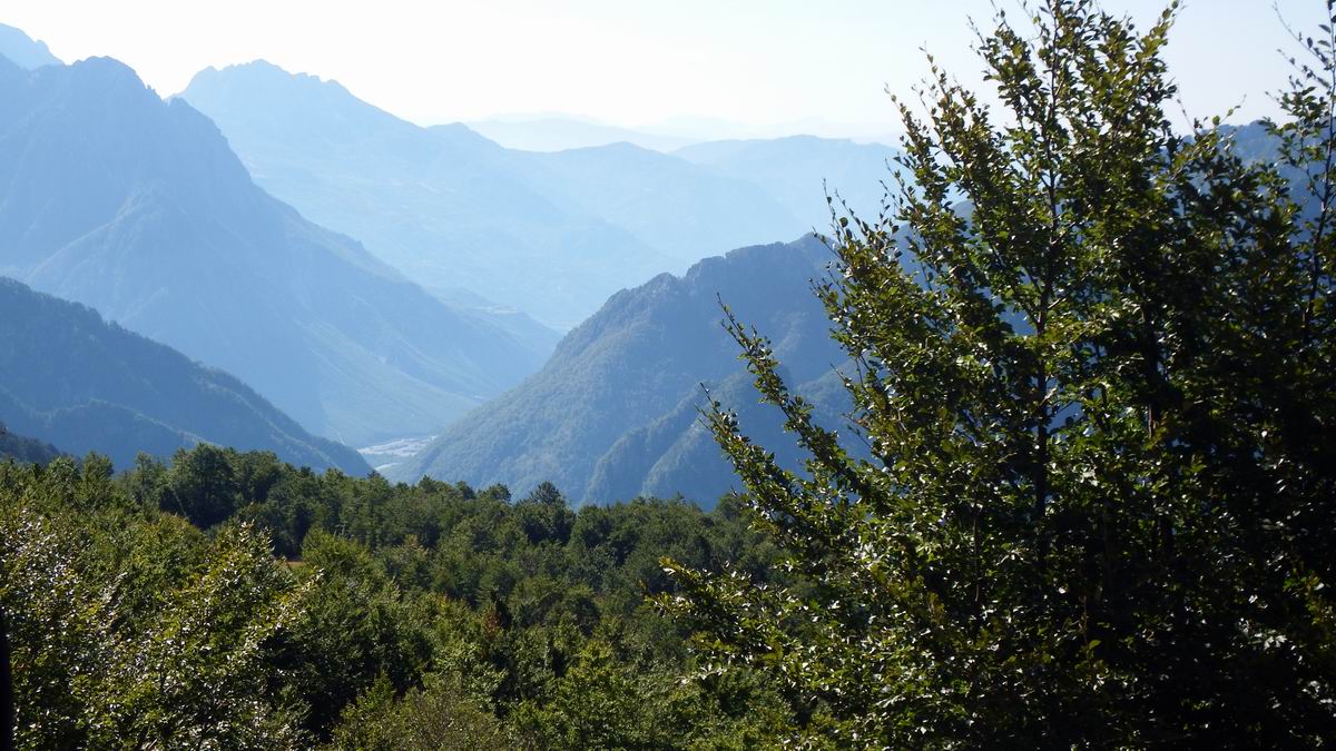 DSCF0383.JPG