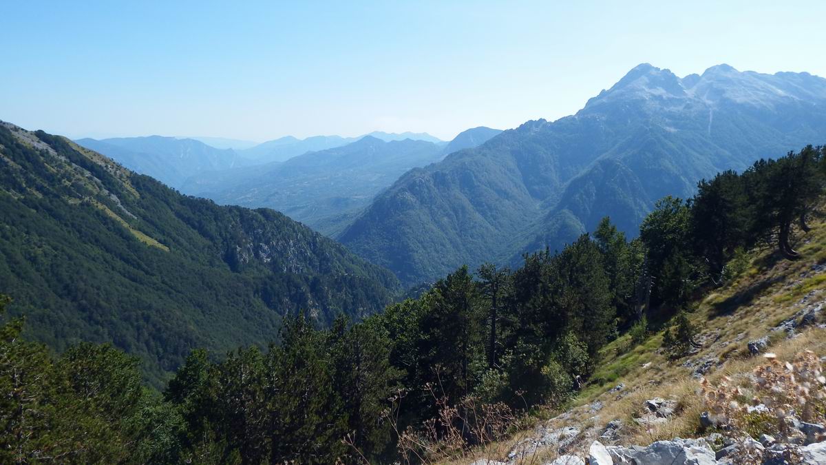 DSCF0416.JPG