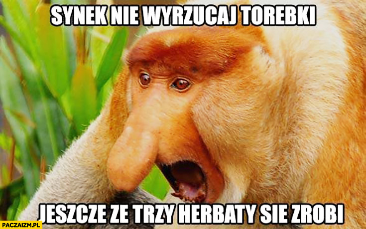 synek-nie-wyrzucaj-torebki-jeszcze-ze-trzy-herbaty-sie-zrobi-typowy-polak-nosacz-malpa.jpg