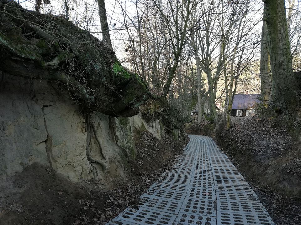 z25599058V,Kazimierz-Dolny--Glebocznica-Na-Przychodnia--Dno-w.jpg