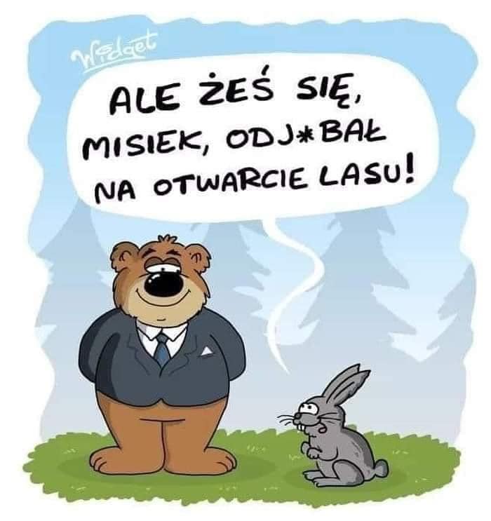 misiek.jpg
