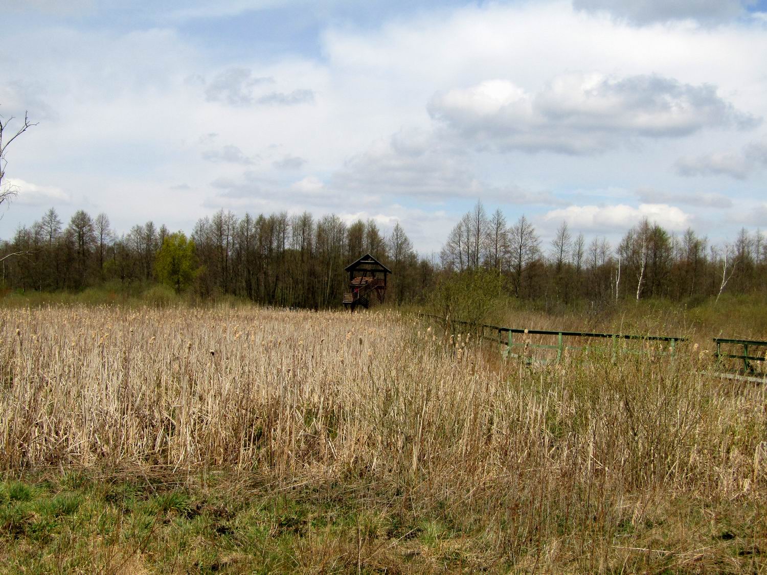 2020-04-25 11.55.01-2.jpg