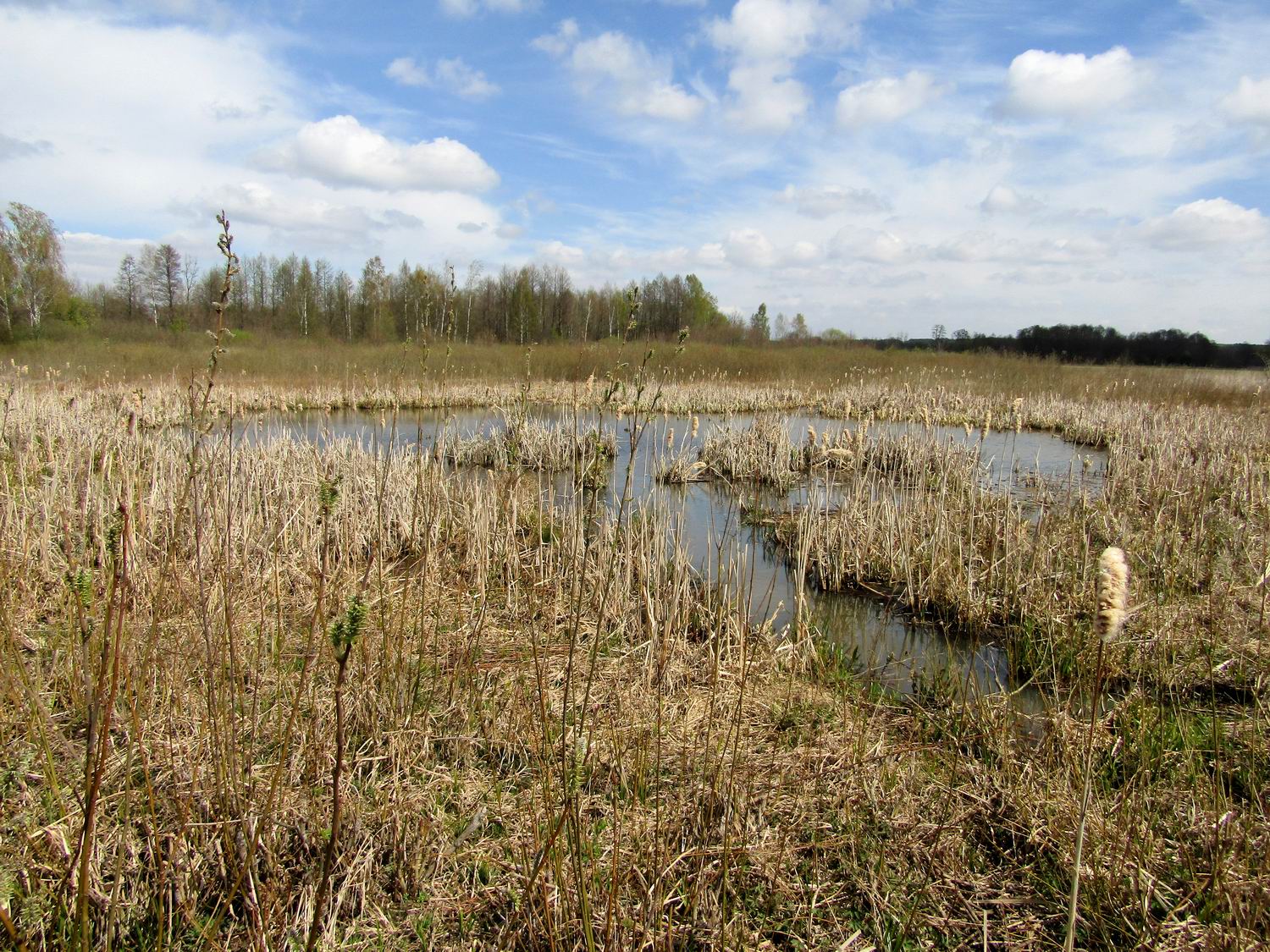 2020-04-25 12.04.02-2.jpg