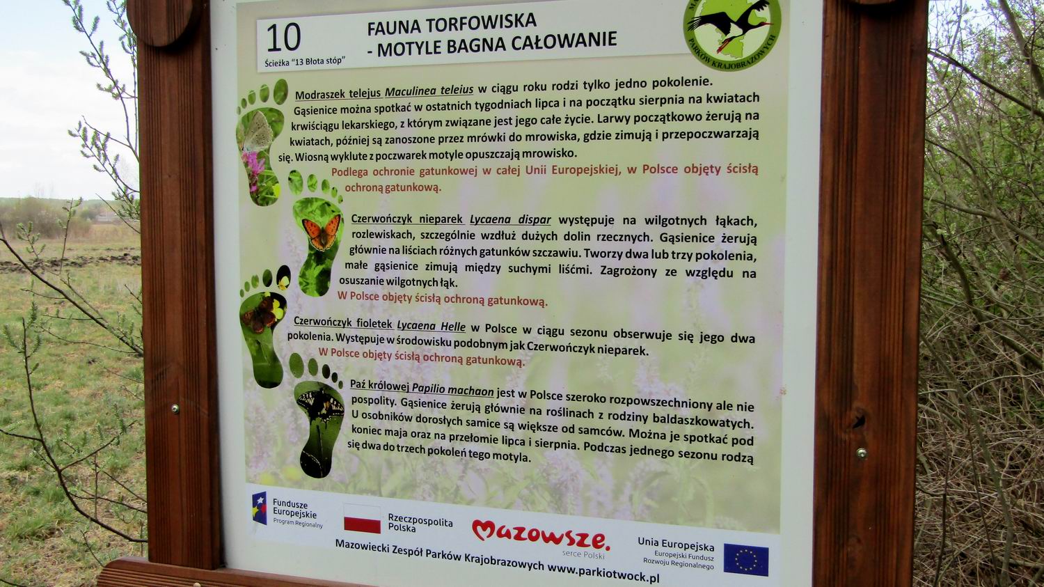 2020-04-25 12.23.15-2.jpg
