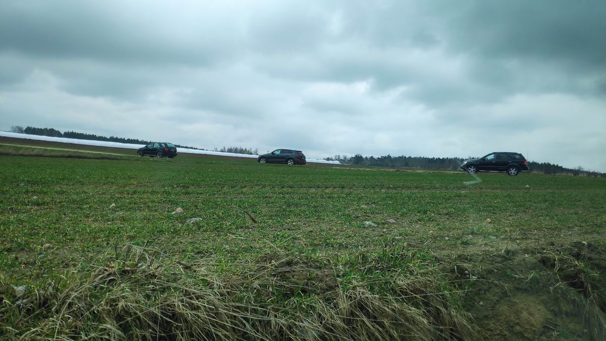 IMG_20210328_115503.jpg