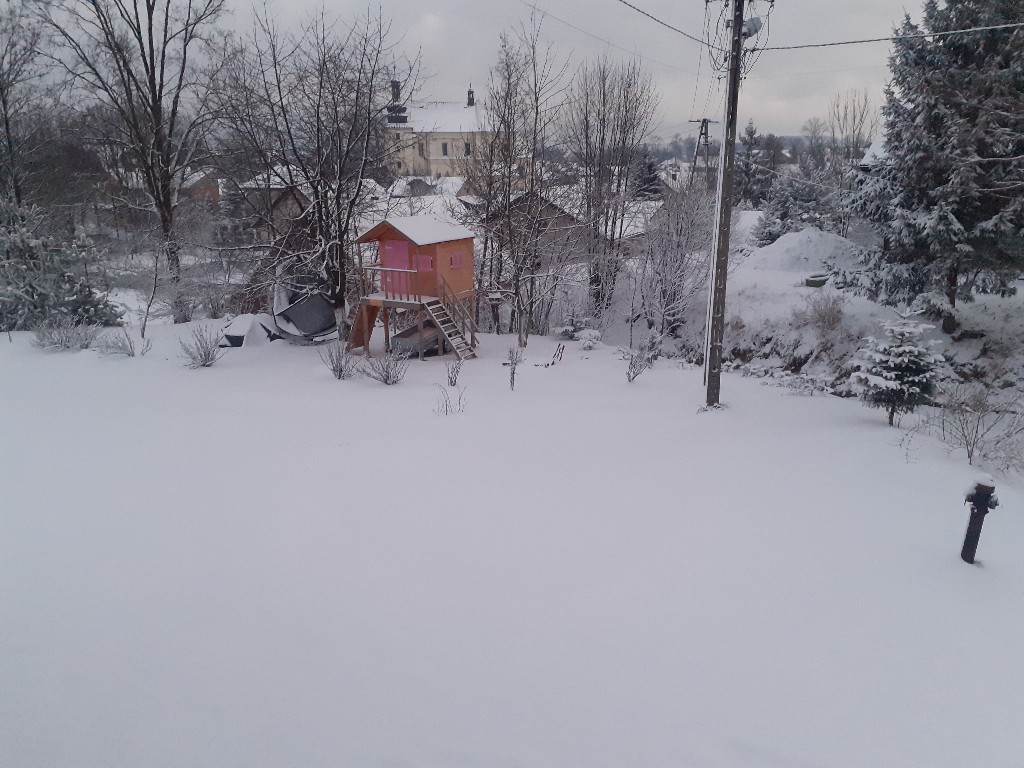 20220122_071539-1024x768.jpg