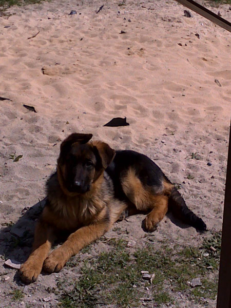 max01.jpg