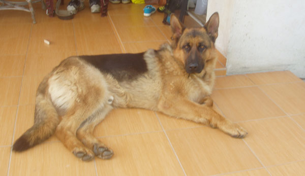 max02.jpg