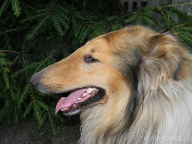 Aksel.JPG